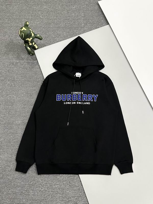 Burberry Hoodie Wmns ID:20241022-159